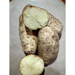 Batata Doce Pêssego Orgânica 500g